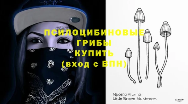ПСИЛОЦИБИНОВЫЕ ГРИБЫ Абинск