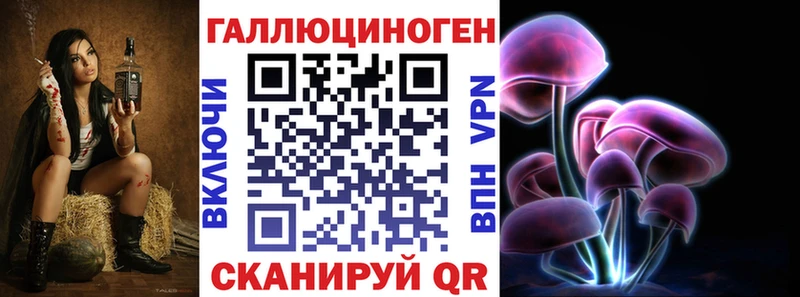 Псилоцибиновые грибы Psilocybe  Сертолово 